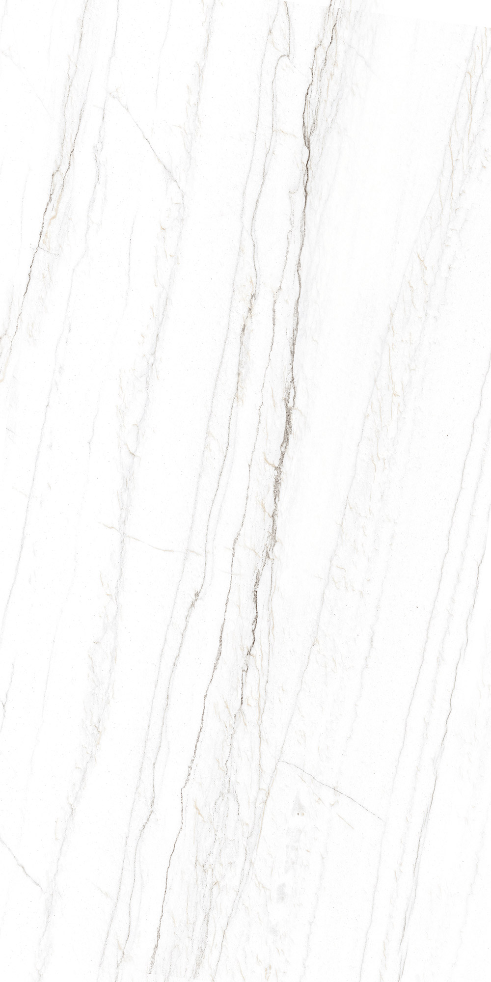 Rivan Tile - 80x160 - طرح 10